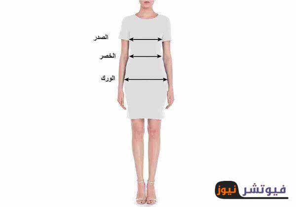 مقاسات الجسم المثالي للمرأة – فيوتشر نيوز