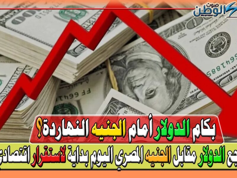 هل تراجع الدولار مقابل الجنيه المصري اليوم بداية لاستقرار اقتصادي أم لا؟ جدول سعر الصرف في البنوك المصرية اليوم