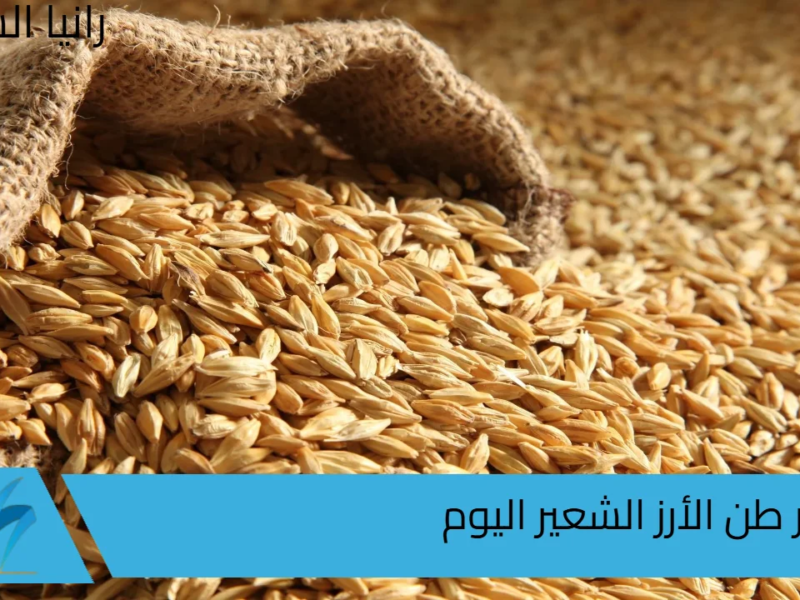 “بكام العريض والرفيع” سعر طن الأرز الشعير اليوم الجمعة 6/9/2024 في الأسواق المصرية