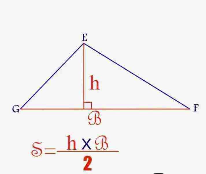 ما هي مساحة المثلث – فيوتشر نيوز