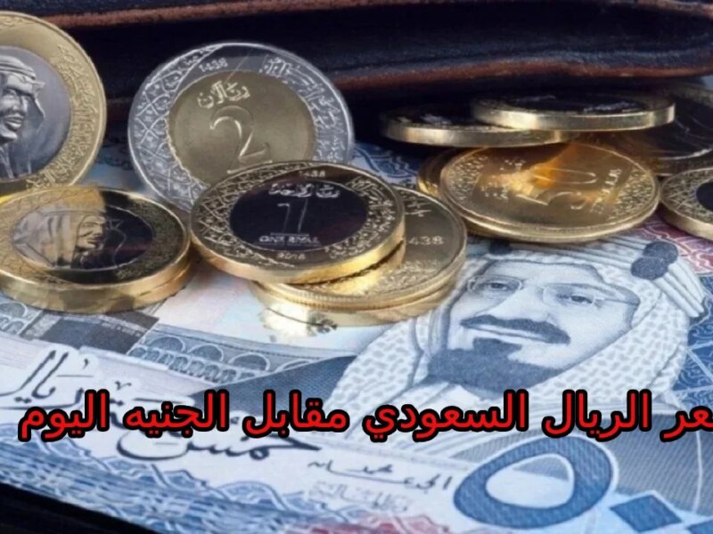 لمن يريد أداء العمره… اخر تحديث أسعار الريال السعودي مقابل الجنيه المصري اليوم الجمعة 6 سبتمبر 2024